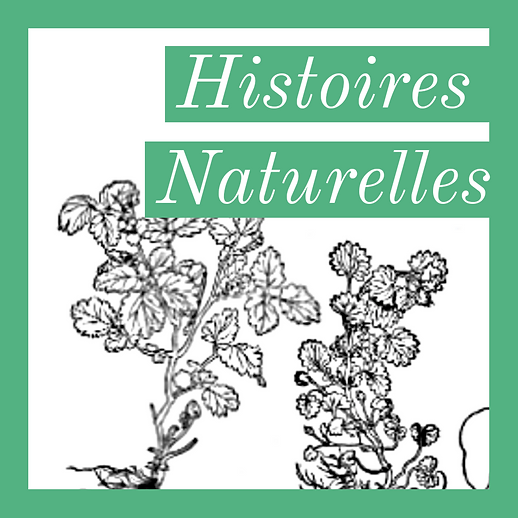 Le podcast Histoires naturelles