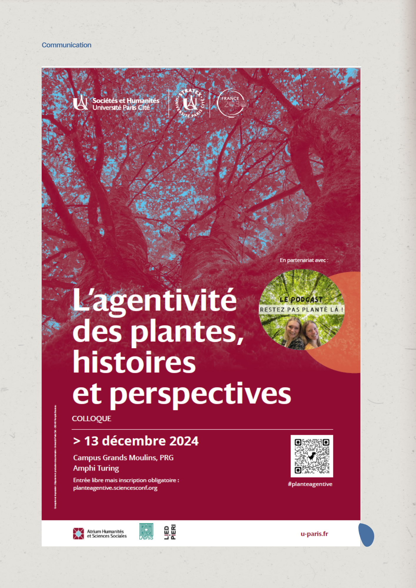 Colloque L’agentivité des plantes – 13 décembre 2024